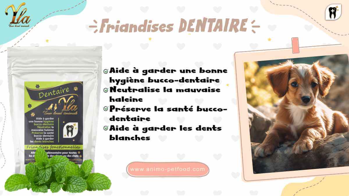 friandises-dentaire-pour-chiot